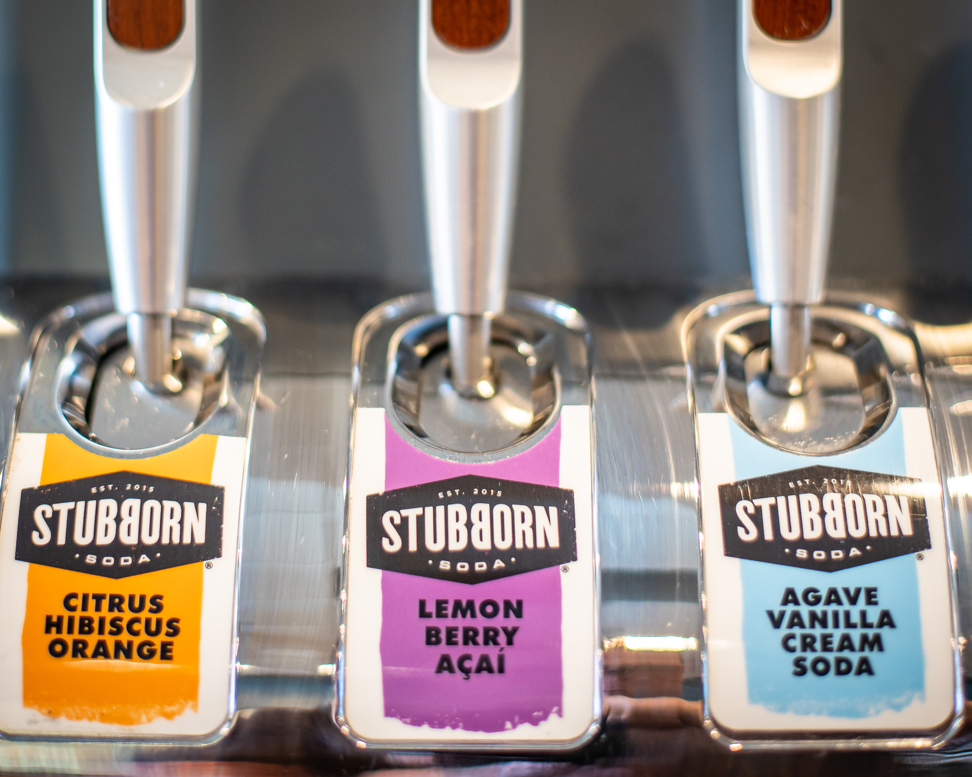 stubborn soda