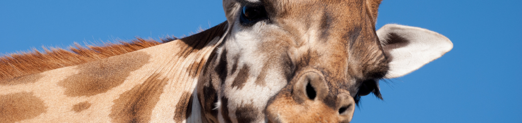 Top Summer 2025 Activities for Kids in Fresno, CA (+ Where to Eat!)